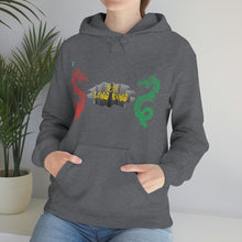 Load image into Gallery viewer, 龙坑 Lóng kēng (Dragon Pit) Unisex Heavy Blend™ Hooded Sweatshirt
